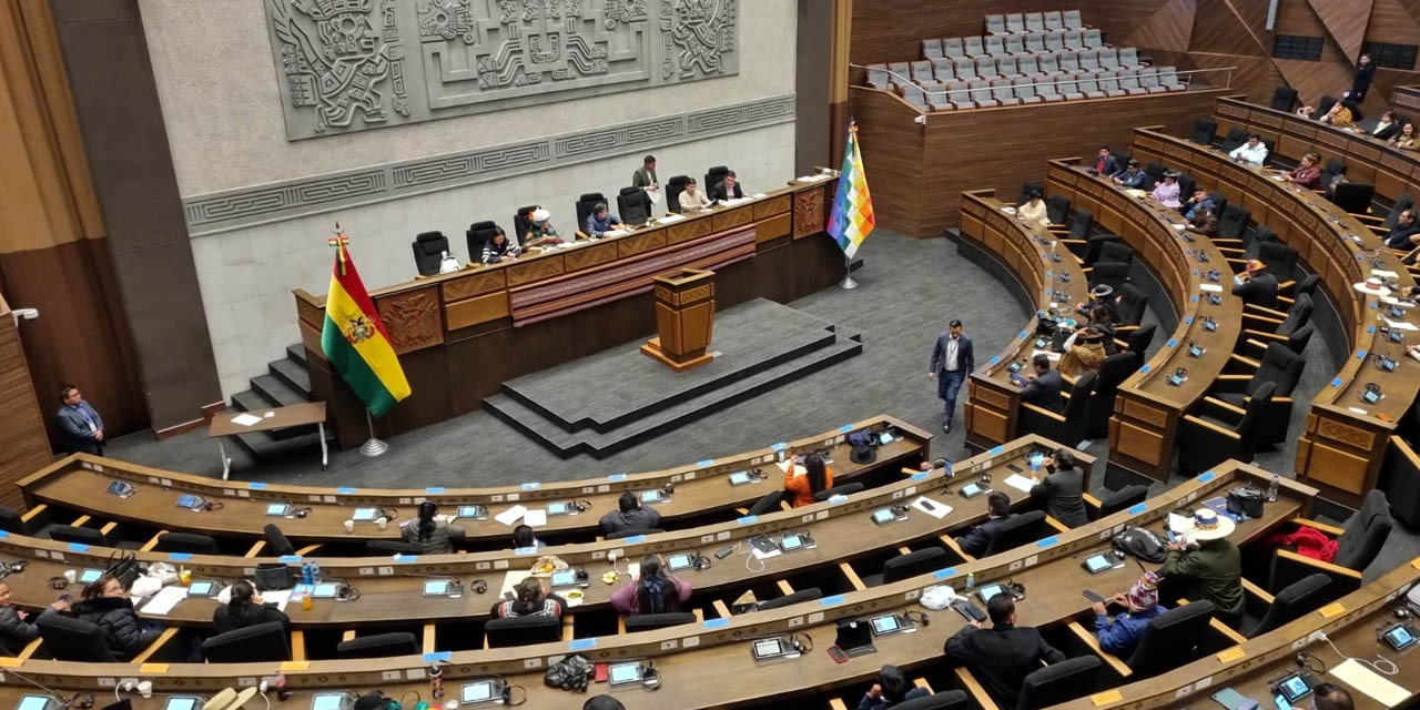 La sesión de la Asamblea Legislativa Plurinacional (ALP). Foto: Cámara de Diputados