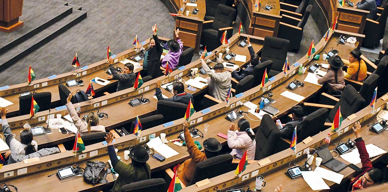 La sesión en Diputados para aprobar la ley. Foto: Diputados