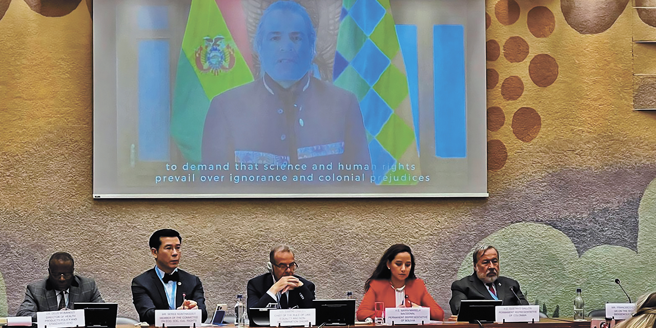 El secretario general de la Vicepresidencia de Bolivia, Juan Carlos Alurralde, en Ginebra, en conferencia virtual. 