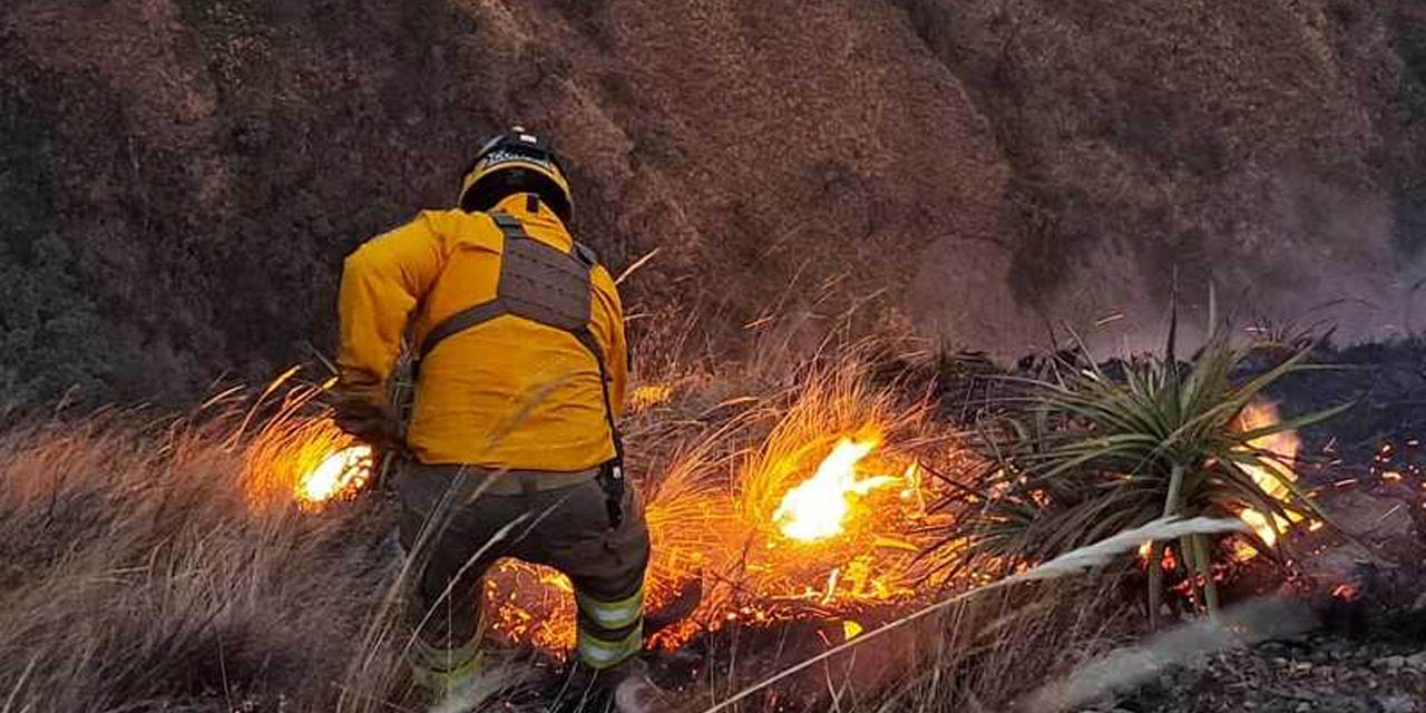 Imagen de referencia. Foto: Gobernación de Cochabamba