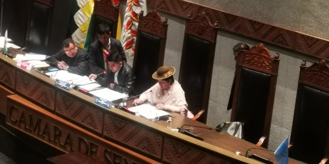 Foto: Cámara de Senadores.