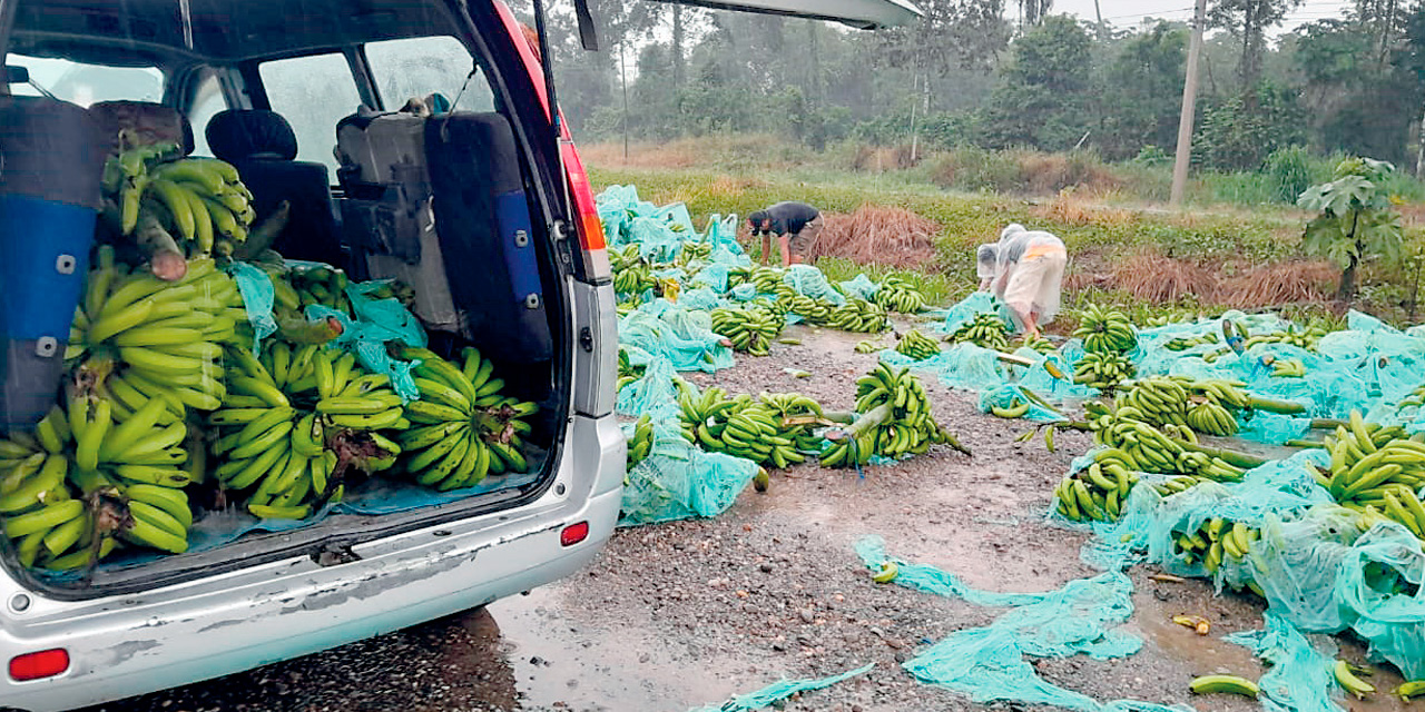 Productores de banana de exportación tiran su producto en la carretera entre Cochabamba y Santa Cruz como una forma de protesta ante los bloqueos. Foto: RRSS