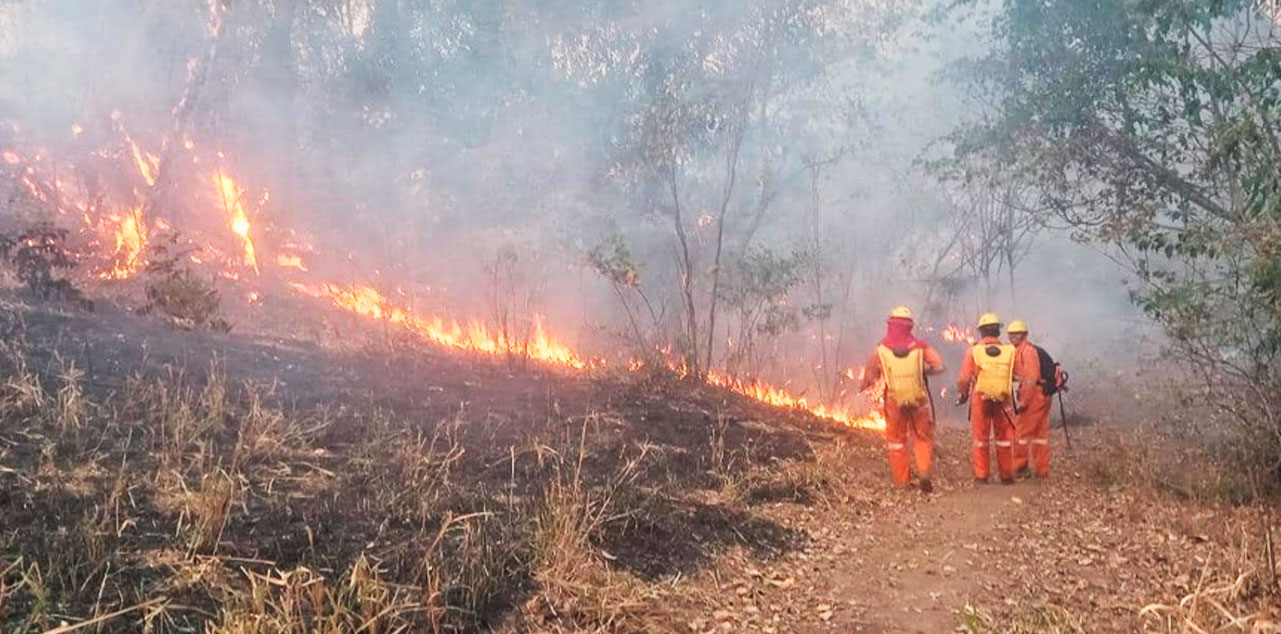 Aguardan que las lluvias ayuden a sofocar los incendios. Foto: Min. Defensa