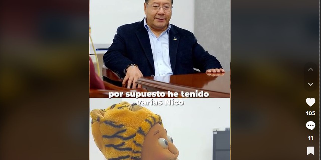 El presidente Luis Arce con Nico en su despacho. Captura de pantalla