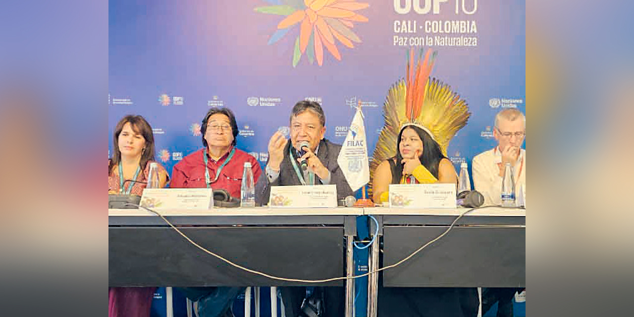 El vicepresidente David Choquehuanca en la COP16. Foto:  Vicepresidencia