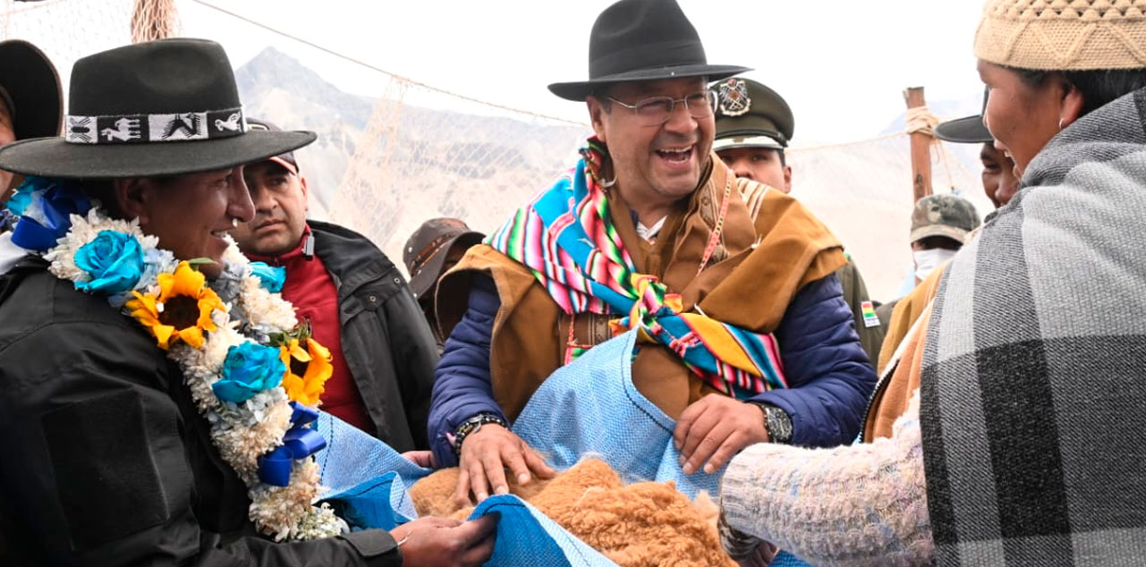 El presidente Luis Arce sostiene en manos la lana de vicuña que ayudó a trasquilar, minutos antes. Foto: Presidencia