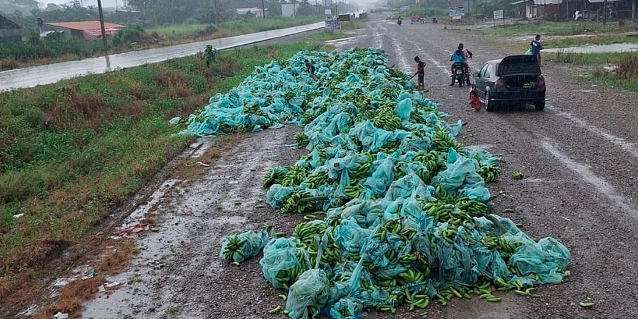 Productores de Chimoré tiraron su producción en la carretera Santa Cruz – Cochabamba, como una protesta por el bloqueo evista. Foto: Foto: Sindicato Senda “B” Nueva Canaán