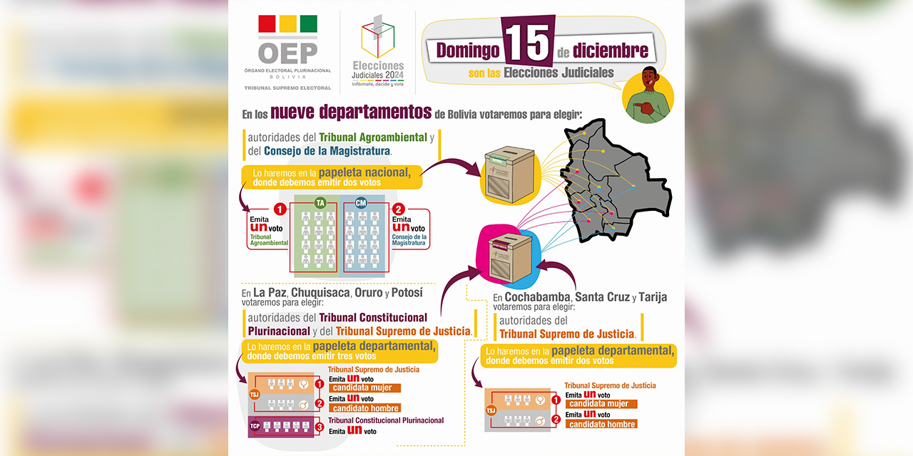 Infografía para las elecciones. Foto: TSE