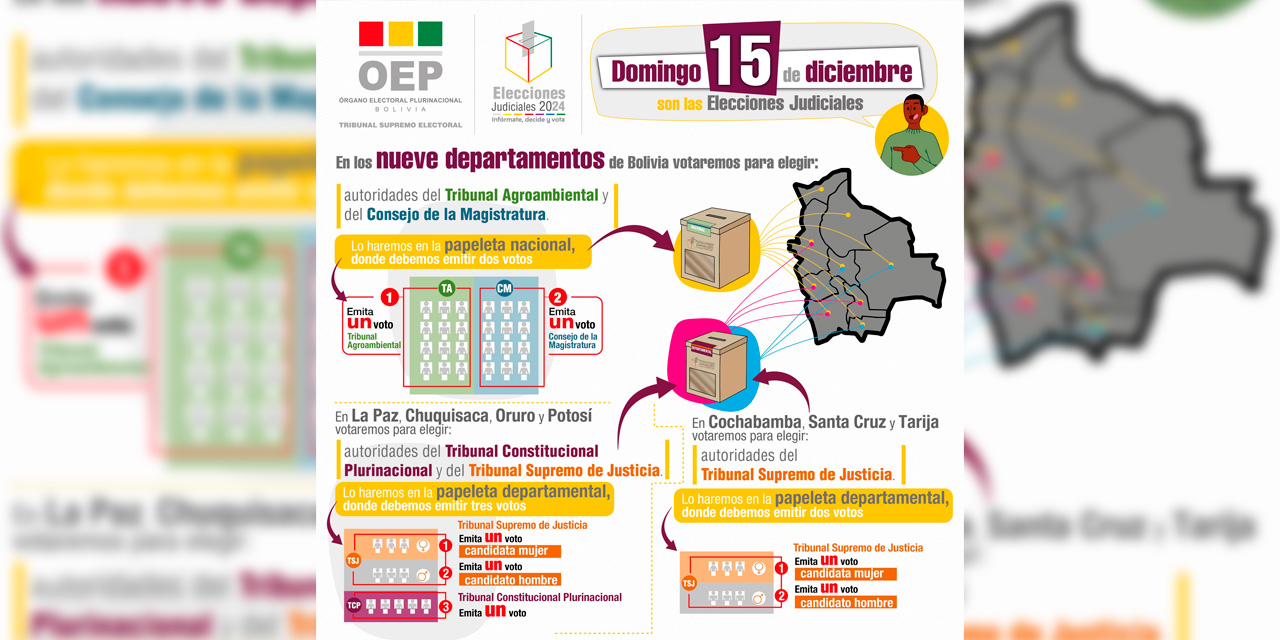 Fuente: TSE