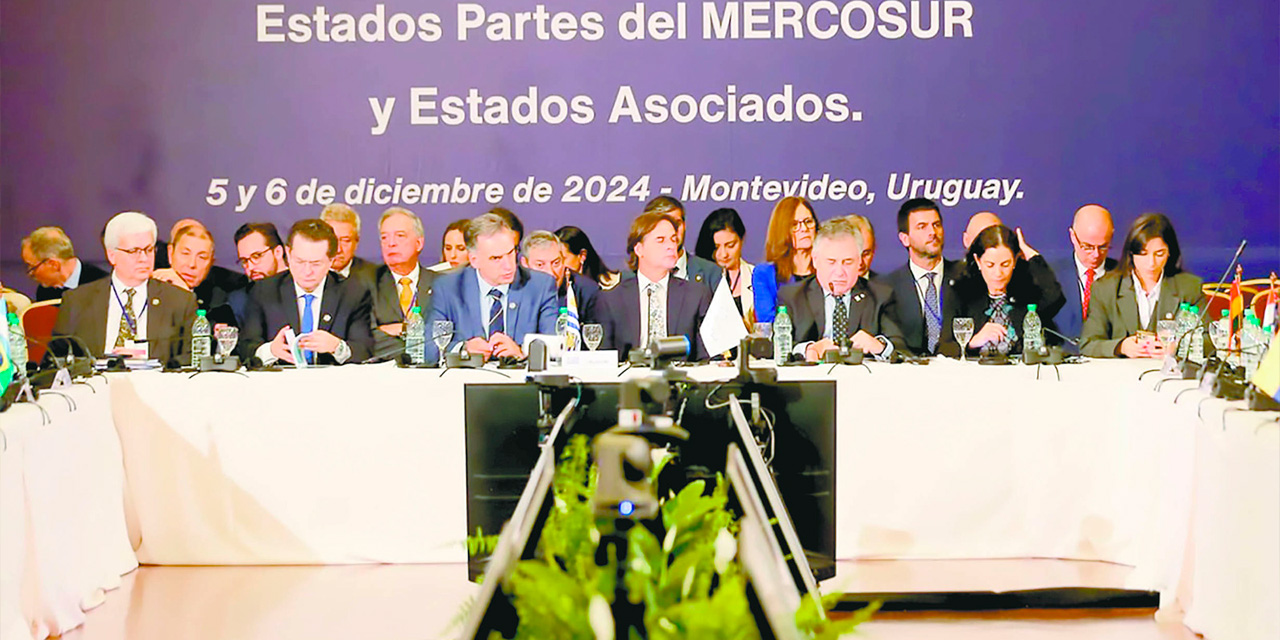 El Mercosur y sus miembros durante la jornada del viernes. Foto:  RRSS/Presidencia