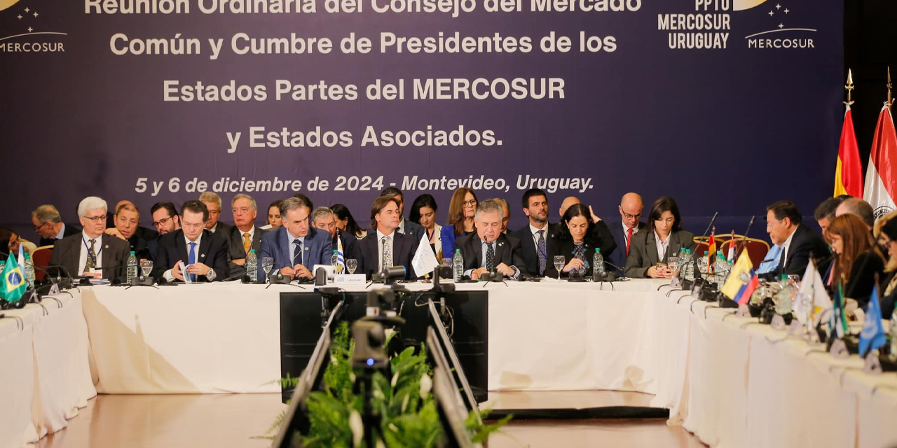 La plenaria de la 65ª Cumbre de los Presidentes de los Estados parte del Mercosur. Foto: Facebook Lucho Arce