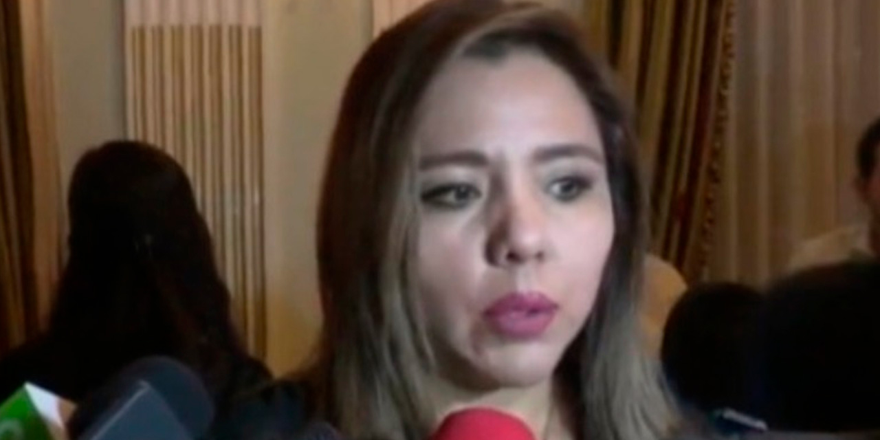 La viceministra de Comunicación, Gabriela Alcón. Foto: Captura de imagen de Bolivia Tv