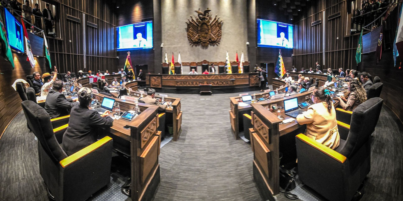 El hemiciclo de la Cámara de Senadores.