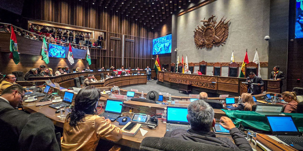 El pleno de la Cámara de Senadores. Foto: Archivo Senado ABI