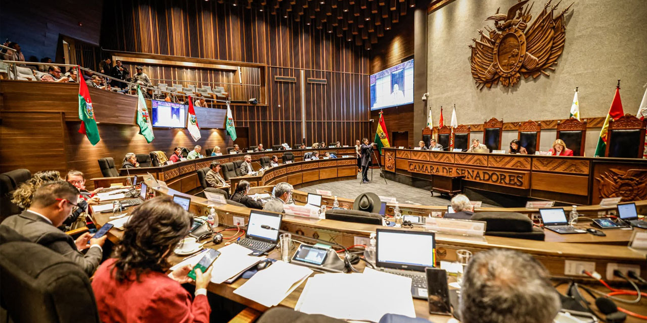 Foto: Archivo Senado