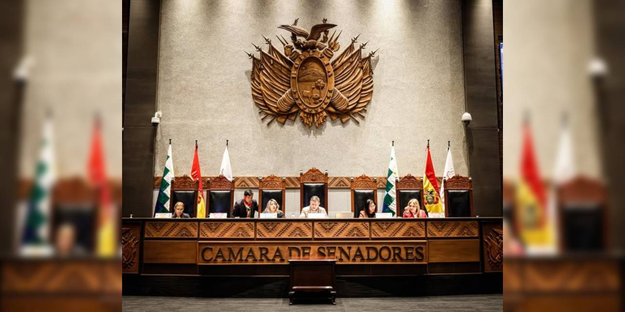 La directiva de la Cámara de Senadores, durante la sesión que se registra hoy/FB: Cámara de Senadores