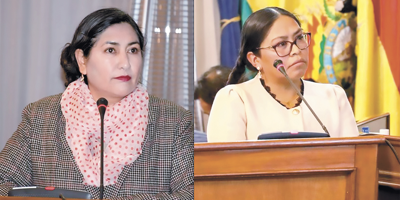 Las magistradas electas Norma Velasco Mosquera (TSJ) y Amalia Laura Villca (TCP) por Potosí.