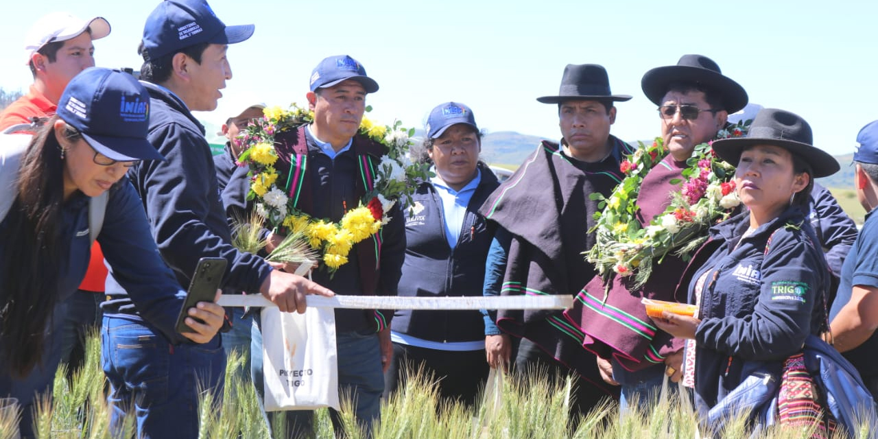 El Gobierno busca fortalecer la producción de trigo. (Foto: MDRYT)