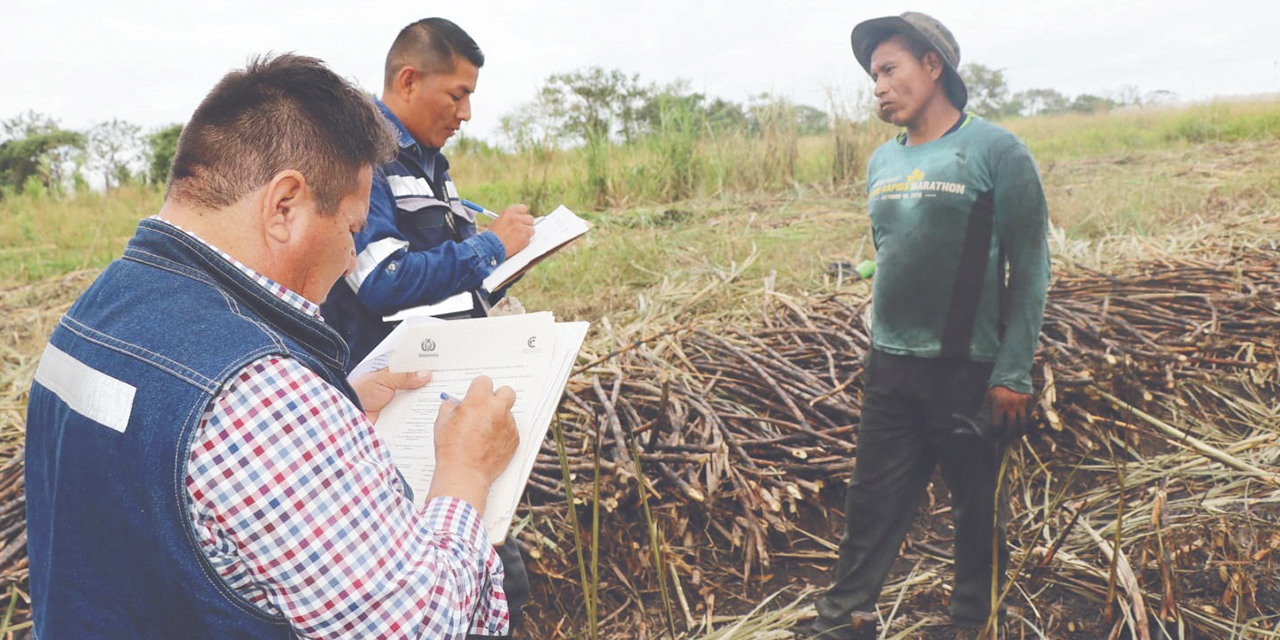 Personal del Ministerio de Trabajo hizo una inspección a los campos de caña. (Foto: Trabajo)