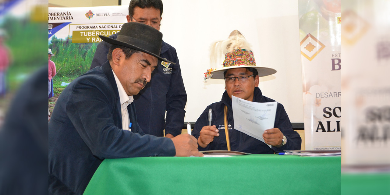 Gobierno implementará cuatro silos de almacenamiento de semilla de papa en tres municipios 