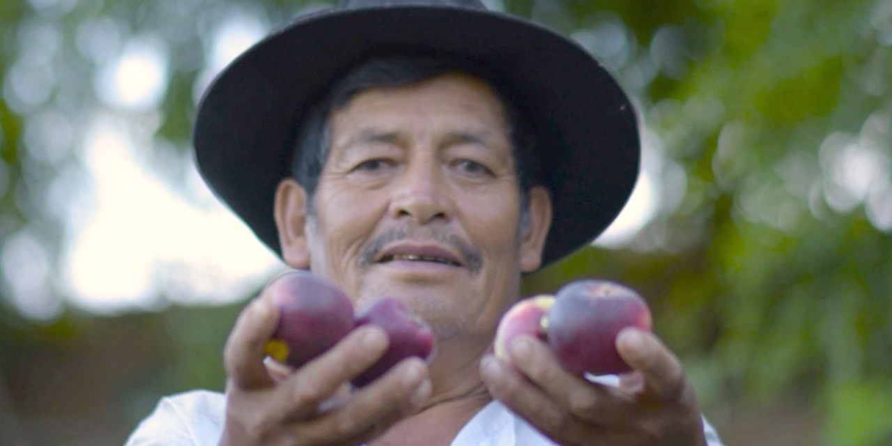 Los productores tienen más facilidades para acceder a los financiamientos productivos.