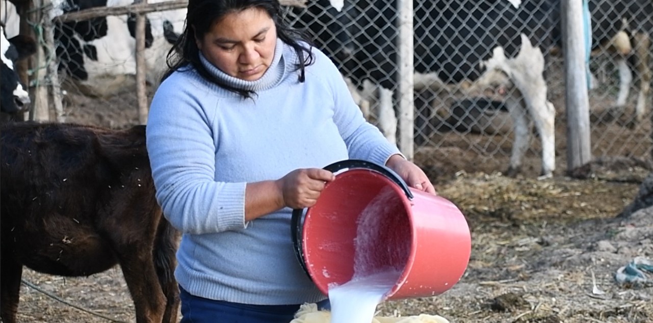 Las unidades productivas dedicadas a agricultura y ganadería tienen tasas preferenciales. Foto BDP