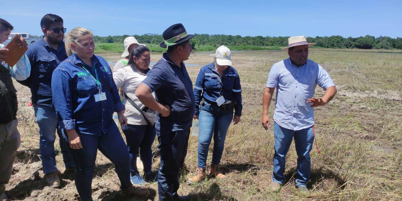 El viceministro Álvaro Mollinedo (izq.) con productores de arroz en Beni.