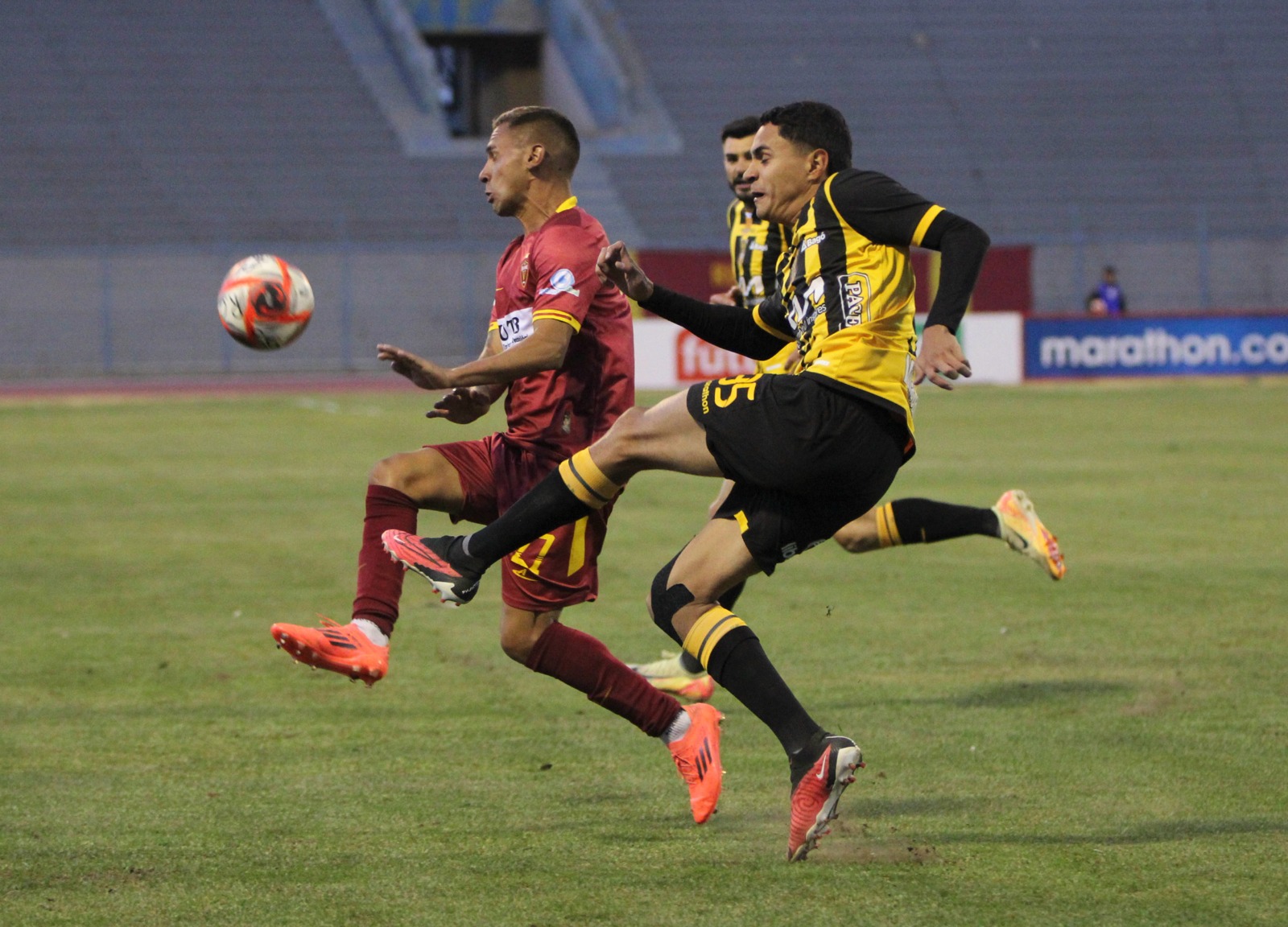 Tigre15063
